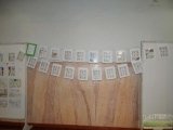 DSCN1282