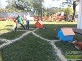 DSC01433