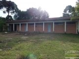 DSCN0294