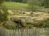 (FOTO 2) FAXINAL DE POTINGA, INÁCIO MARTINS