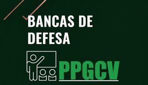 Pr&oacute;ximas Defesas 2026